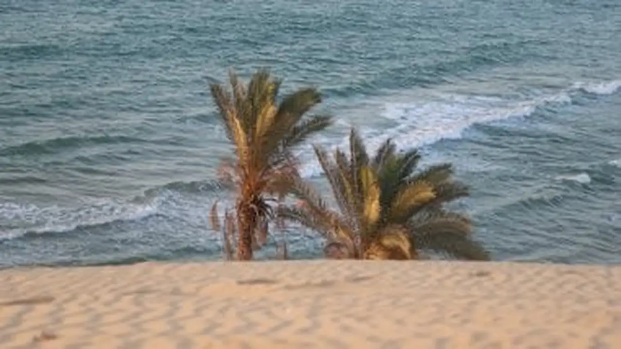 استمرار الموجة الحارة في شمال سيناء مع وصول درجات الحرارة إلى 35 درجة